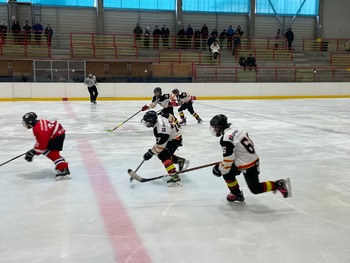 hokejostroh.cz