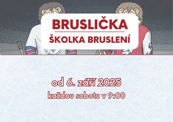 hokejostroh.cz